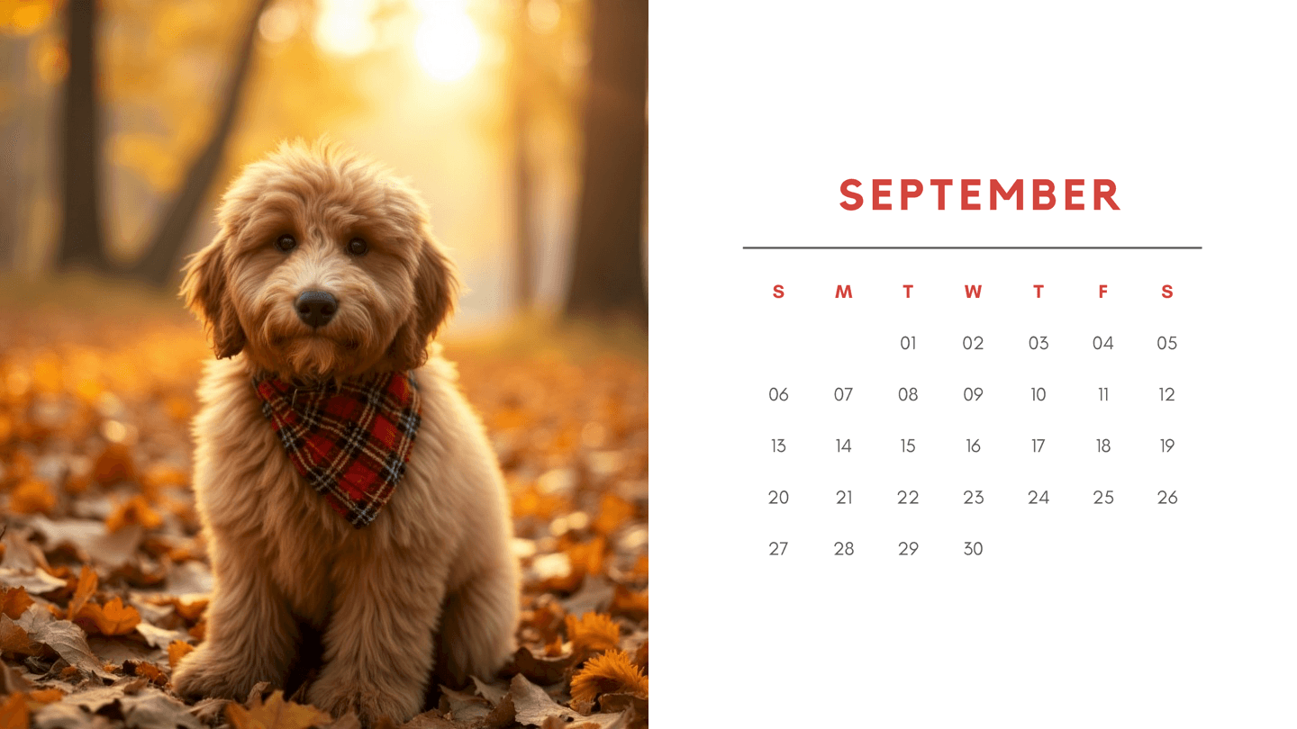 Ducky calendar cover